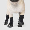 Canada Pooch - Slouchy Socks NEW - Natural Pet Foods