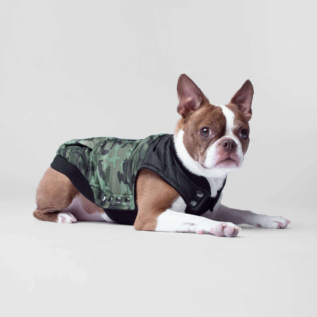 Canada Pooch - Summit Stretch Vest - Green Camo SALE - Natural Pet Foods