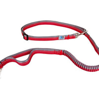 Canine Equipment - Bungee Active Leash - Natural Pet Foods
