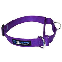 Canine Equipment Webbing Martingale Tec Collar-Purple - Natural Pet Foods