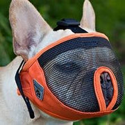 Canine Friendly - Short Snout Muzzle - Orange - Natural Pet Foods