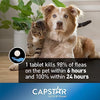 Capstar™ Fast Acting Oral Flea Treatment (Dog & Cat) SALE