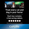 Capstar™ Fast Acting Oral Flea Treatment (Dog & Cat) SALE