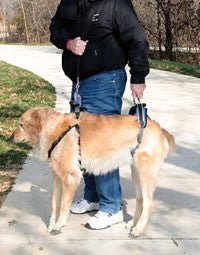 CareLift Full Body Lifting Harness Large Natural Pet Foods