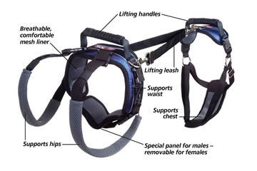 CareLift Full Body Lifting Harness Small Natural Pet Foods
