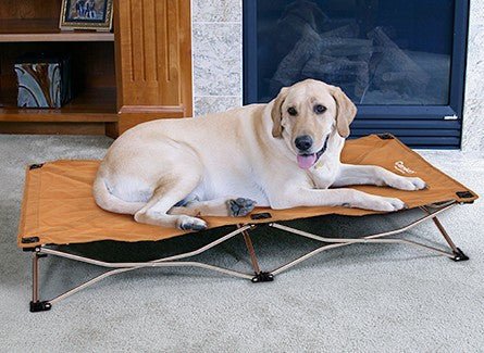 Carlson clearance dog bed