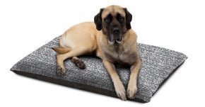 Carpenter Pet Bed Knife-Edge Pillow Quinn Assorted Colors