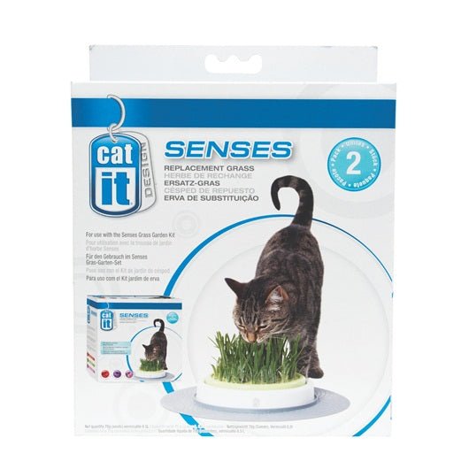 Senses grass shop garden kit