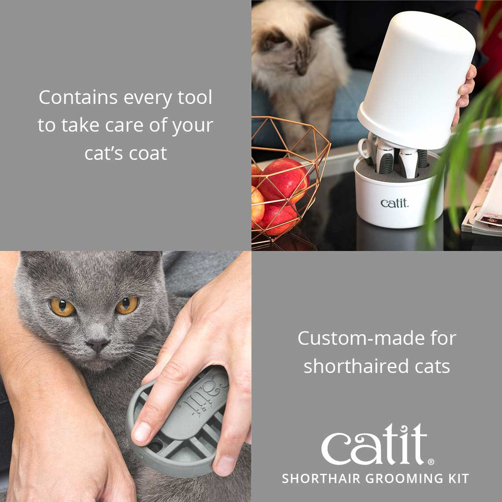 Catit Shorthair Grooming Kit | Natural Pet Foods