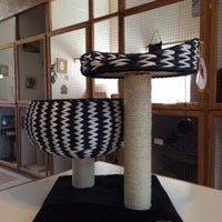 Jupiter - Jack Perch