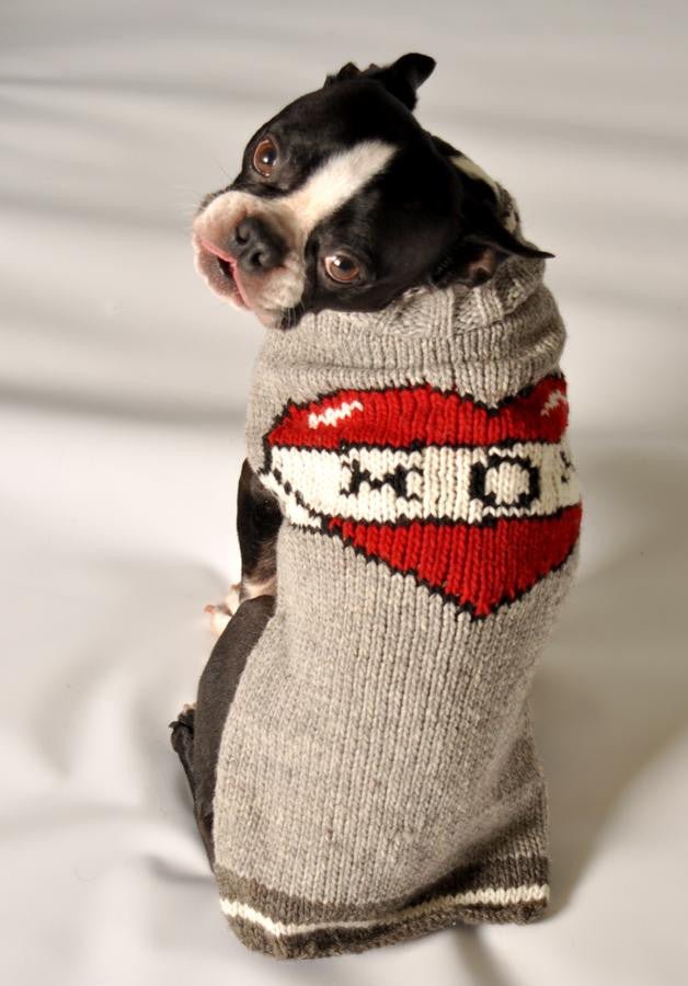 Chewy Fashion Warm Sweater - Flexing Pets - Fashion Pup Look