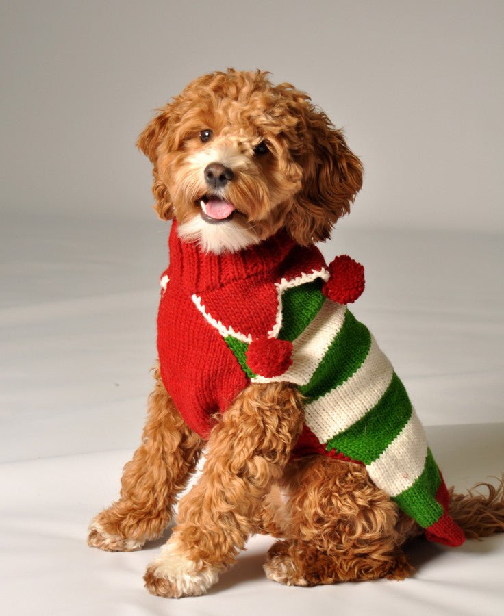 Chilly Dog Novelty Xmas Elf Sweater SALE Natural Pet Foods
