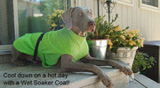 Chilly Dog - Soaker Coat - Natural Pet Foods