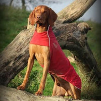 Chilly Dogs - Rain Slicker - Red - Natural Pet Foods