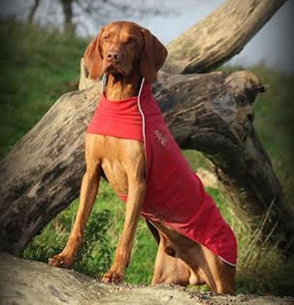 Chilly Dogs - Rain Slicker - Red - Natural Pet Foods