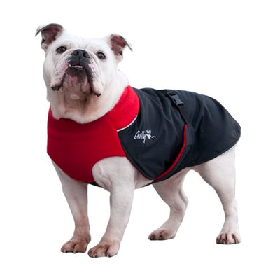 Chillydogs Great White North Winter Coat Broad & Burly Sizes Red/Black Shell (NEW) - Natural Pet Foods