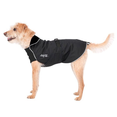 Chillydogs Harbour Slicker Black (NEW) - Natural Pet Foods