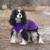 Chillydogs Harbour Slicker Imperial Purple (NEW) - Natural Pet Foods
