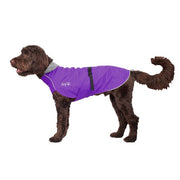 Chillydogs Harbour Slicker Imperial Purple (NEW) - Natural Pet Foods