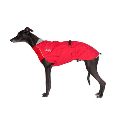 Chillydogs Harbour Slicker Red/Silver Lining (NEW) - Natural Pet Foods