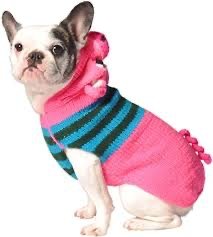 Chillydogs Sweater Piggy SALE - Natural Pet Foods