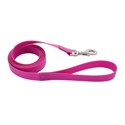 Coastal Pro Waterproof Dog Leash 3/4” x 6 ft Aqua (purple) - Natural Pet Foods
