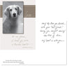Dog Speak Cards - Greeting Cards - Natural Pet Foods