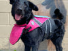 Doggles Canine Flotation Jacket Pink SALE - Natural Pet Foods