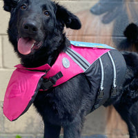 Doggles Canine Flotation Jacket Pink SALE - Natural Pet Foods