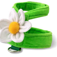 Doggles Harness - Green Daisy SALE - Natural Pet Foods