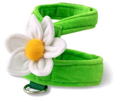 Doggles Harness - Green Daisy SALE - Natural Pet Foods