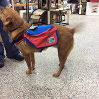Doggles - Sierra - Backpack XS - SALE - Natural Pet Foods
