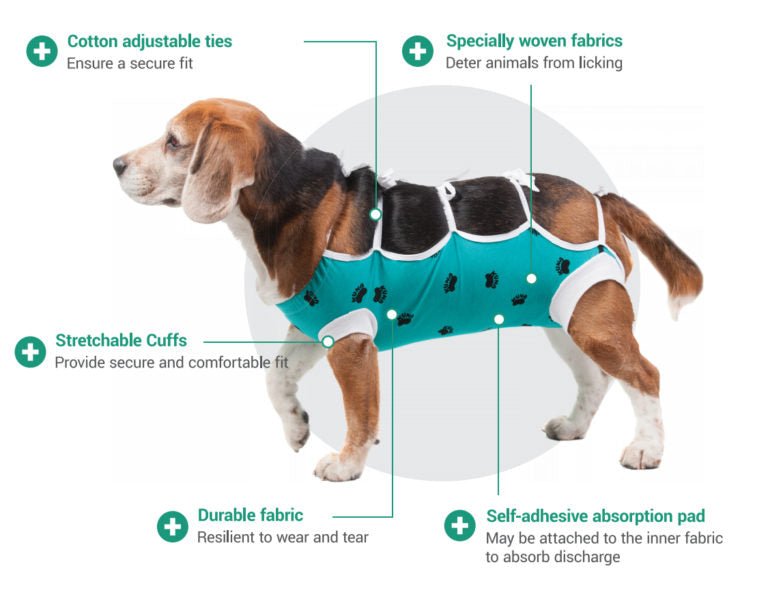 E-Collar Alternative: After Surgery Wear - Main Image