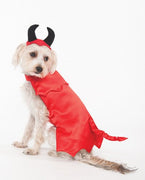 Ethical Devil Costume - XS - Natural Pet Foods