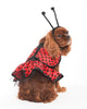 Ethical Ladybug Costume - Natural Pet Foods