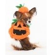 Ethical Pumpkin Costume Xsmall - Small - Natural Pet Foods