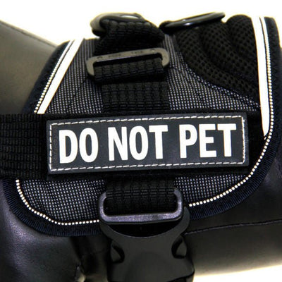 EzyDog - Harness Side Patch - Do Not Pet - Natural Pet Foods