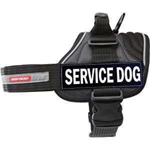 EzyDog - Harness Side Patch - Service Dog