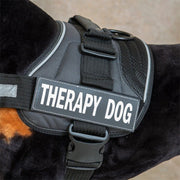 EzyDog - Harness Side Patch - Therapy Dog - Natural Pet Foods