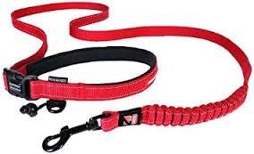 Road store runner leash