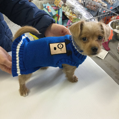 Fetch Wear Blue Dog Sweater SALE - Natural Pet Foods