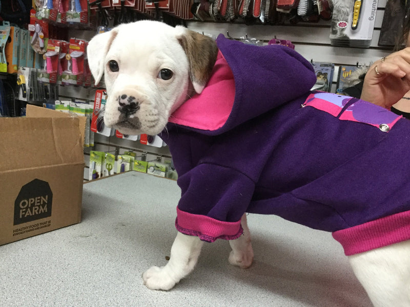 Fetchwear Purple Hippo Dog Hoodie SALE Natural Pet Foods