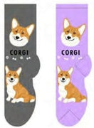 Foozys Crew Socks - Corgi SALE - Natural Pet Foods