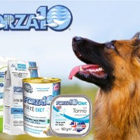 Forza 10 - DepurA Diet with Lamb 25 lbs - Natural Pet Foods