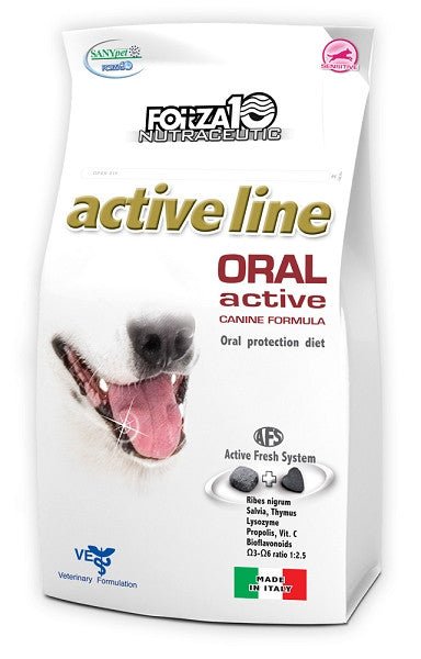 Dog food for healthy teeth sale