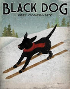 Framed Wall Art - Black Dog Ski - Natural Pet Foods