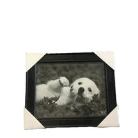 Framed Wall Art - Hugs Are My Favorite - Natural Pet Foods