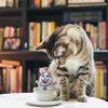 Fuzzu™ Tea Cup Fluffs Bunny Cat Toy - Natural Pet Foods