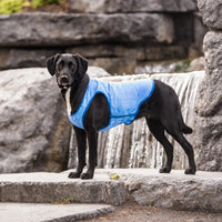 Gf Pet Ice Vest Blue - Natural Pet Foods