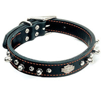 Harley Davidson - Spiked Leather with Orange Collar 18" - Natural Pet Foods